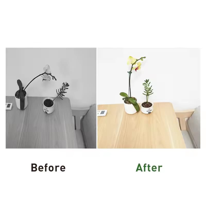 10Pcs Garden Flower Support Reusable Flower Support Holder Potted Plant Support Stakes for Rose 17cm