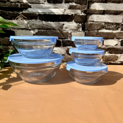 DELISOGA Glass Salad Bowls with Lids 5 Piece Set Preservation Bowls Food Storage Containers Random Color