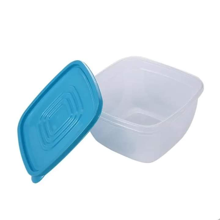 Pack Of 2 - Food Storage Containers Box 1600ml Random Colours