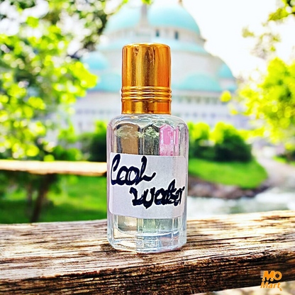 Ameer Ul Oudh, Cool  Water, Eternity Men, Dirham, Labaik fragrece.