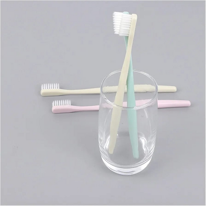 Pack Of 4 High Quality Soft Bristles Toothbrush Set With Cap Random Colours