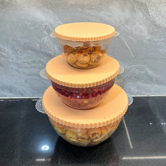 Bisco Food Box-Medium-Pack of 3