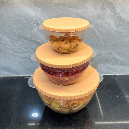 Bisco Food Box-Medium-Pack of 3