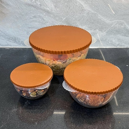 Bisco Food Box-Medium-Pack of 3