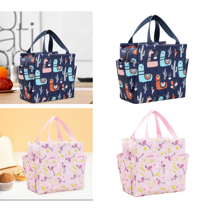 Stylish Hand Carry Thermal Lunch Bag – Easy to Carry with Side Pocket for Water Bottle | Perfect for Office-Going Ladies